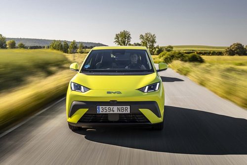 BYD Dolphin Surf — foto 8